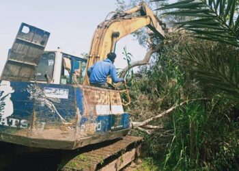 إزالة عدد (٥٨٦) حالة تعدي على ضفتي نهر النيل بالغربية