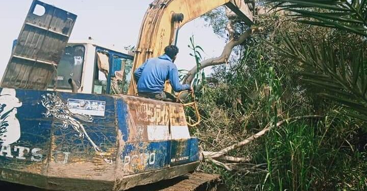 إزالة عدد (٥٨٦) حالة تعدي على ضفتي نهر النيل بالغربية
