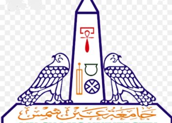 دور التعليم الهجين في تعلم اللغة الصينية .. مائدة مستديرة بكونفشيوس عين شمس.