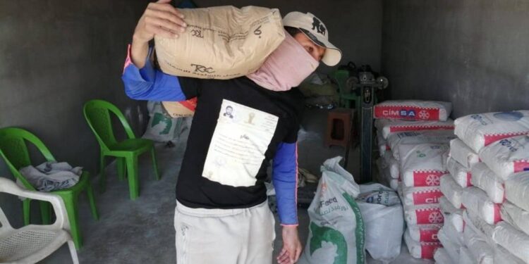 بسام فيصل حديث السوشيال ميديا العراقية