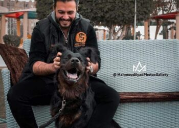 "الرحمة بالحيوان" حدث عالمي الجمعة المقبل في أرض الخيل بنادي الفروسية