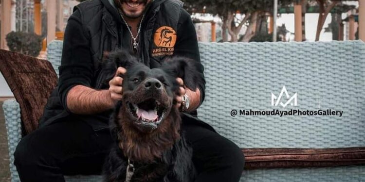 "الرحمة بالحيوان" حدث عالمي الجمعة المقبل في أرض الخيل بنادي الفروسية