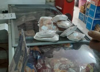 تموين الغربية يضبط كميات كبيرة من الدواجن والألبان المنتهية الصلاحية