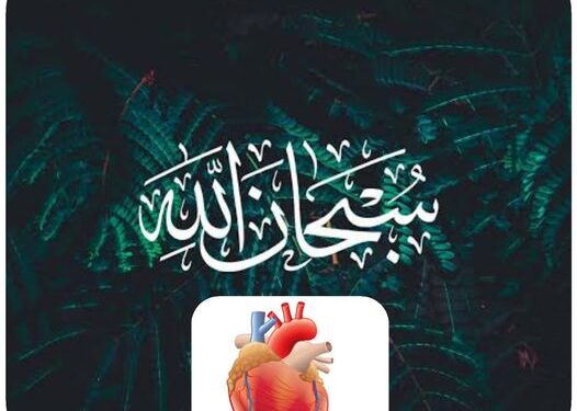 خاطرة حوارية لإبداء الرأى