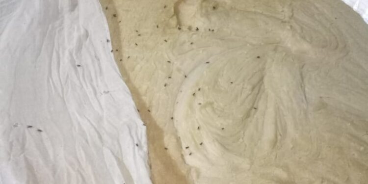 بالصور ضبط ربع طن بوظة بسوهاج