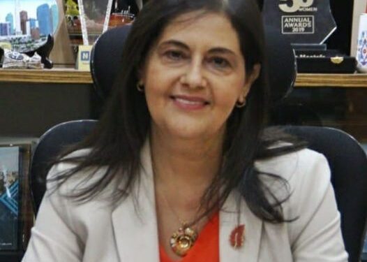 ويبينار حول