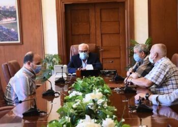 تسمين الماشية