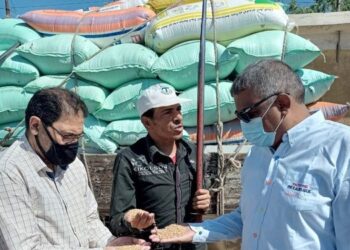 آمنة : توريد