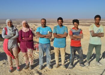 فريق بحثي دولي