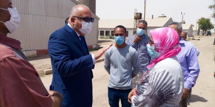 محافظ قنا يتفقد مشروعات الأمن الغذائي بالمعنا بمدينة قنا