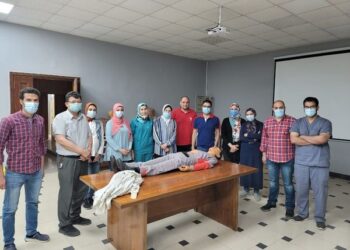 نماذج محاكاة