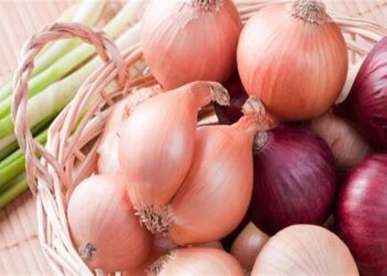 البصل الأحمر