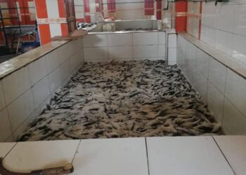 ضبط بعض تجار الفساد والغش التجاري بكفر الزيات مركز طنطا