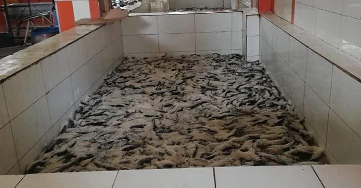 ضبط بعض تجار الفساد والغش التجاري بكفر الزيات مركز طنطا