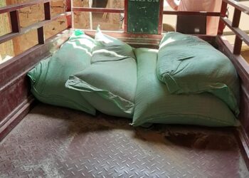 ضبط كميات كبيرة من الدقيق المدعم بغرض البيع بالسوق السوداء