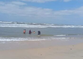 اقبالا متوسطاً على مصيف بلطيم واستمرار حملات النظافة ورفع الاشغالات