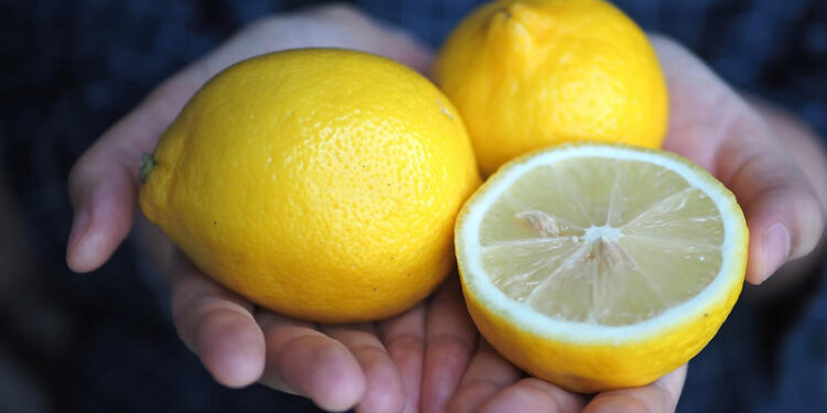 بذور الليمون ( معلومة تهمك )