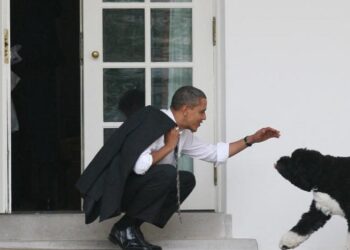 أسرة أوباما حزينة لفراق كلبها ( بو )