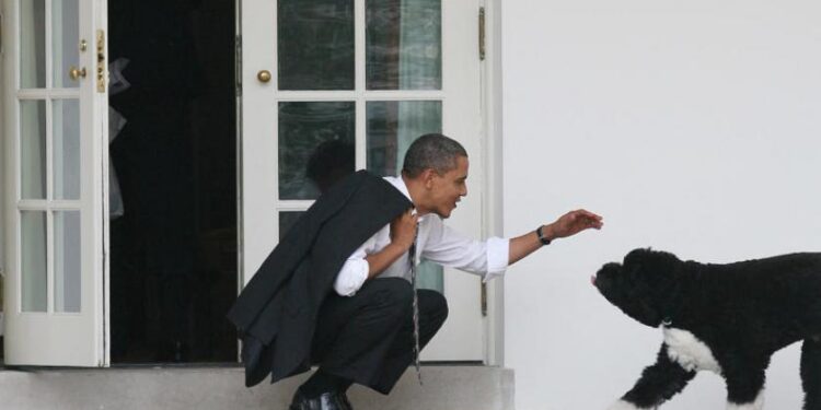 أسرة أوباما حزينة لفراق كلبها ( بو )
