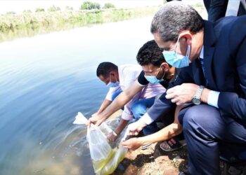 محافظ الغربية يشهد إلقاء ٤ مليون زريعة سمك في قناة طنطا الملاحية.