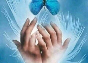 عابر سبيل وجراحي هائمة