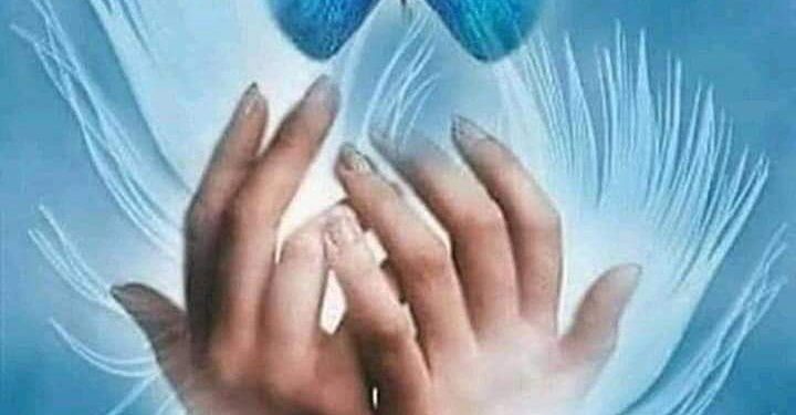 عابر سبيل وجراحي هائمة