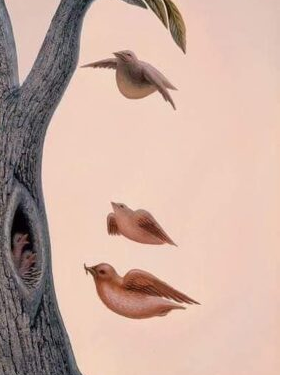 فاصلة حب إلى فاصلة اشتياق