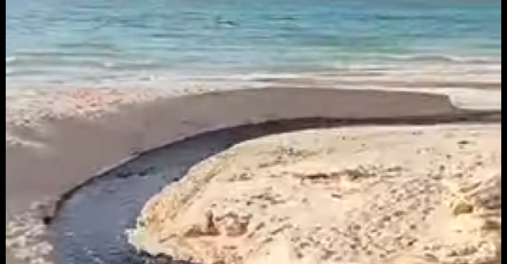اللهو الخفي بأبو تلات يلقي بمخلفات الصرف الصحي ببحر الٱسكندرية