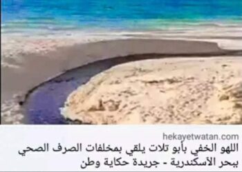 محافظ الإسكندرية يستجيب لاستغاثة حكاية وطن