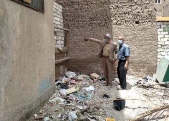 الديب يقتحم أوكار القمامة  بشوارع مدينة البداري بمحافظة أسيوط