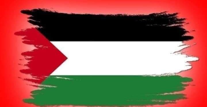 النائب /مجدي الوليلي جرائم إسرائيل ضد الشعب الفلسطيني انتهاك صارخ لمواثيق حقوق الإنسان.