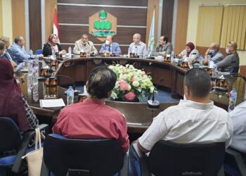 عبد الرؤوف أحمدى