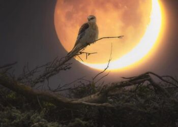 شوف كنا فين ،، وبقينا فين