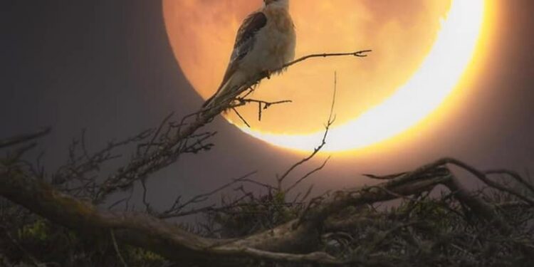 شوف كنا فين ،، وبقينا فين