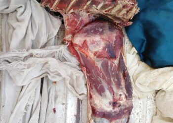 محلات جزارة