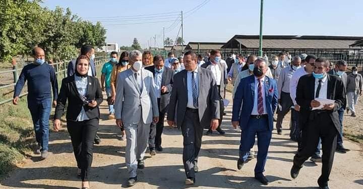 محافظ البحيرة يتفقد مشروع عاداة للثروة الحيوانية