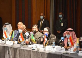 وزير التعليم العالى