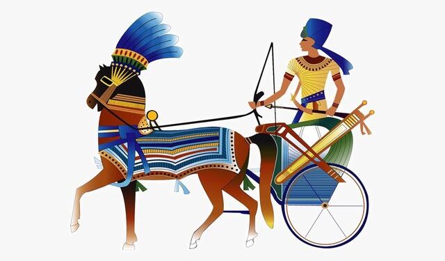 مبادرة لتأهيل (1000)