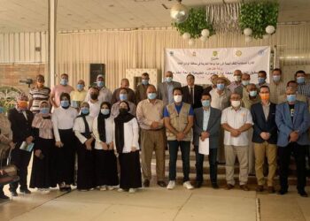 زراعة الأرز الجاف