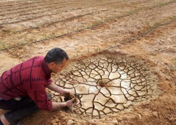 بحوث الصحراء