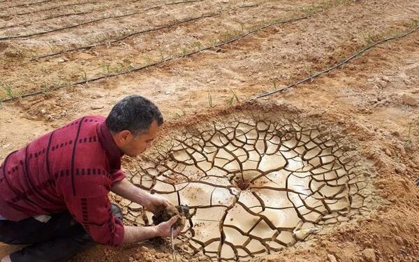 بحوث الصحراء