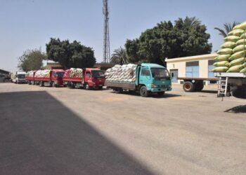 توريد 148 ألف