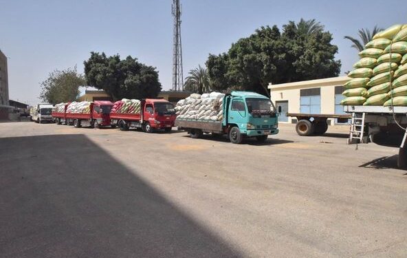 توريد 148 ألف