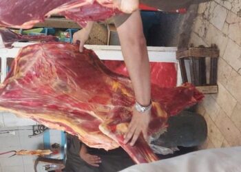 ضبط محلات جزارة بها لحوم فاسدة واختتم مزوره بكفر الزيات غربية