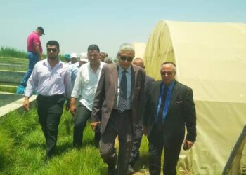 الزراعة : جولة تفقدية لرئيس هيئة الثروة السمكية بالمفرخ السمكي بمنطقة العباسة