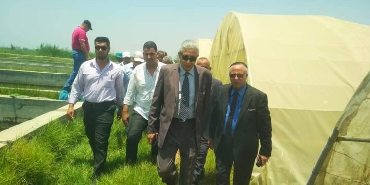 الزراعة : جولة تفقدية لرئيس هيئة الثروة السمكية بالمفرخ السمكي بمنطقة العباسة