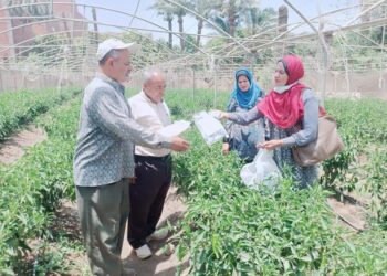 زيارة من إدارة التجارب الزراعيه بالفيوم للبيوت المحميه بابشواي(المشاتل).