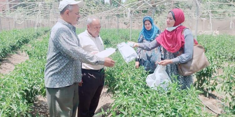 زيارة من إدارة التجارب الزراعيه بالفيوم للبيوت المحميه بابشواي(المشاتل).
