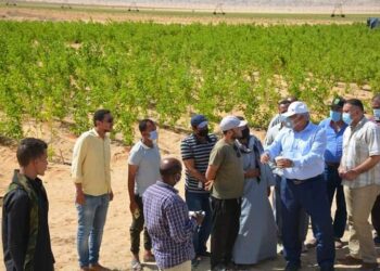 محافظ الوادي الجديد يتفقد مشروع استثمار زراعي لإنتاج التوت بالفرافرة