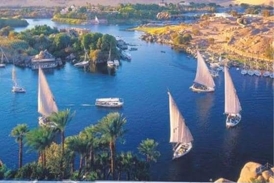 كارِثَةُ حَقِيقَيةُ يَمْرٌ بَها نَهَرَ النيَّلَ.